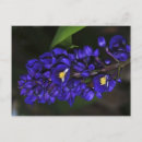 Recherche de paysage floral cartes postales Tropical