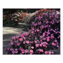 Recherche de patio posters Jardin