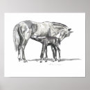 Recherche de poulain jument posters Animaux
