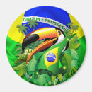 Recherche de oiseaux exotiques magnets Jungle
