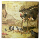 Recherche de animaux de basse cour carreaux Scènes