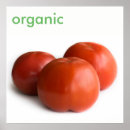 Recherche de tomate mûre posters Légume