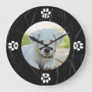 Recherche de chiot horloges Pattes