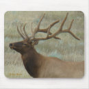 Recherche de velours tapis souris Photographie de la faune