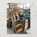 Recherche de courge posters Nature