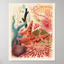 Recherche de la grande barrière de corail posters Australie
