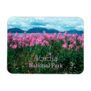 Recherche de acadia magnets Maine