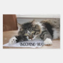 Recherche de moustache mignonne autocollants Chat mignon