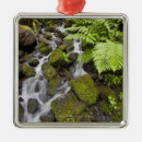 Recherche de mousse ornements Dehors