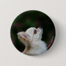 Recherche de profil badges Plomb et pam langrish
