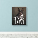 Recherche de amoureux des animaux art Pour animaux