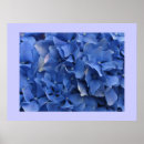 Recherche de bleu hortensia fleur art Photographie