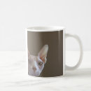 Recherche de sphynx tasses Drôle