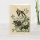 Recherche de colombe de deuil vœux cartes Oiseau