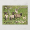 Recherche de joyeux anniversaire cheval cartes postales Toute personne