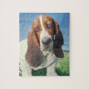 Recherche de basset puzzles Chien de basset