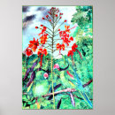 Recherche de seychelles posters Tropical