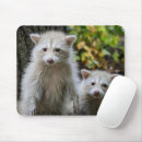 Recherche de albinos tapis souris Faune