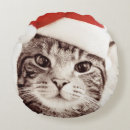 Recherche de chats domestiques coussins Humour