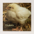 Recherche de poussins puzzles Poulet