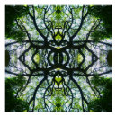 Recherche de kaleidoscopes posters Miroir