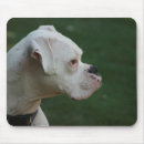 Recherche de chien boxeur tapis souris Photographie