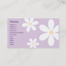 Recherche de marguerites pourpres Fleur