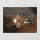 Recherche de cheval humoristique cartes postales Cavalier