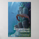 Recherche de paleo posters Paléontologie