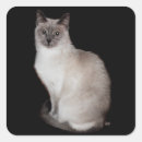 Recherche de siamois autocollants Animaux