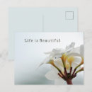Recherche de pretty cartes postales Photographie