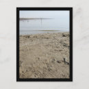 Recherche de mer morte cartes postales Désert