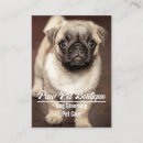 Recherche de marcheur de chien cartes visite Petits animaux