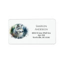 Recherche de portraits de loup Nature