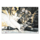 Recherche de caresse art Chat