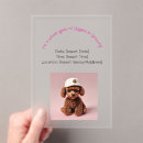 Recherche de pup invitations Chien
