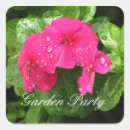 Recherche de pink rose autocollants Printemps