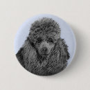 Recherche de caniche badges Miniature