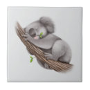 Recherche de koala carreaux Arbre