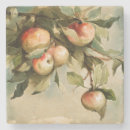 Recherche de peinture pomme de dessous de verres Pommes