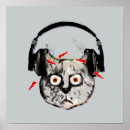 Recherche de chat fou posters Miaou