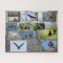 Recherche de aigles puzzles Nature