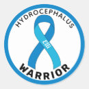 Recherche de conscience de hydrocéphalie Survivant