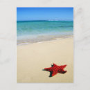 Recherche de mer rouge cartes postales Océan