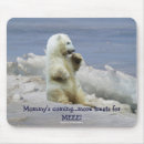 Recherche de ours de glace Glaces