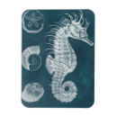 Recherche de animaux marins magnets Animaux de mer
