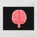 Recherche de image de cerveau Détail