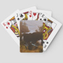 Recherche de côte jeux de cartes Coucher de soleil