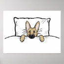 Recherche de bergs posters Animal