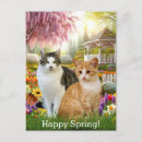 Recherche de escargot et chat cartes postales Amoureux des chats